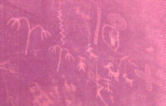 Palm spadice-like glyphs in Valley of Fire